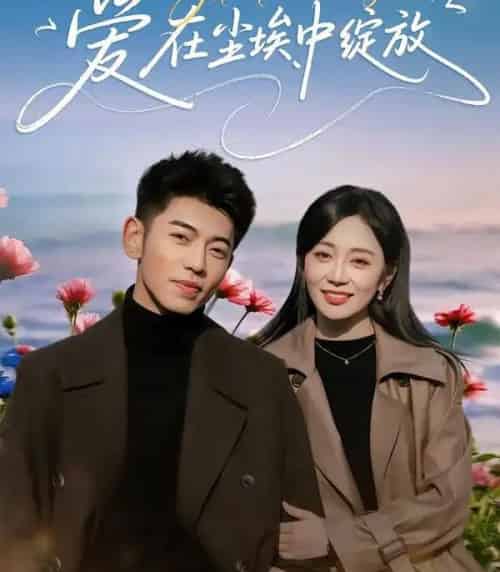 爱在尘埃中绽放（86集全）李泉成＆姚宇晨-紫橙资源网