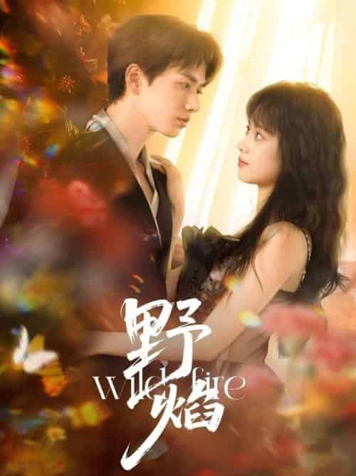 野焰(60集全)陈政阳&郑千亦-紫橙资源网