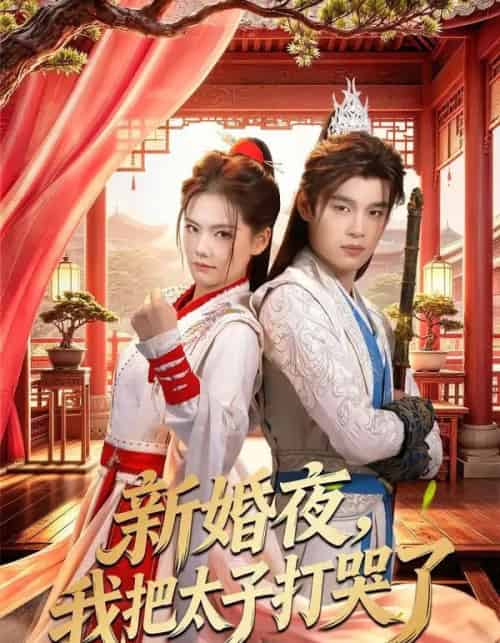 新婚夜,我把太子打哭了(52集全)房静&刘杰睿-紫橙资源网