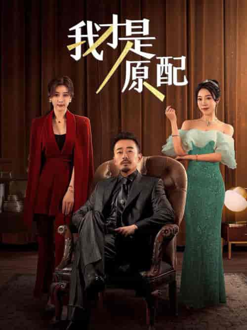 我才是原配（30集全）-紫橙资源网