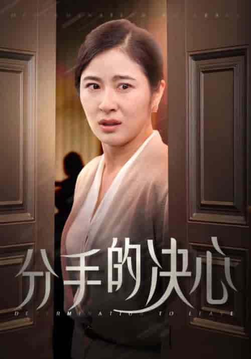 分手的决心（39集全）钟北海＆何金玉-紫橙资源网