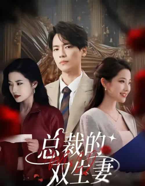 总裁的双生妻（76集全）段柒萱＆杰士鸣-紫橙资源网