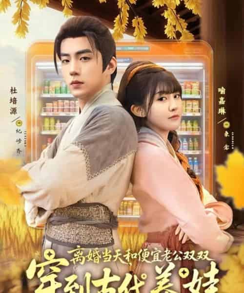 离婚当天，和便宜老公双双穿到古代养娃（71集全）杜培源＆喻嘉琳-紫橙资源网