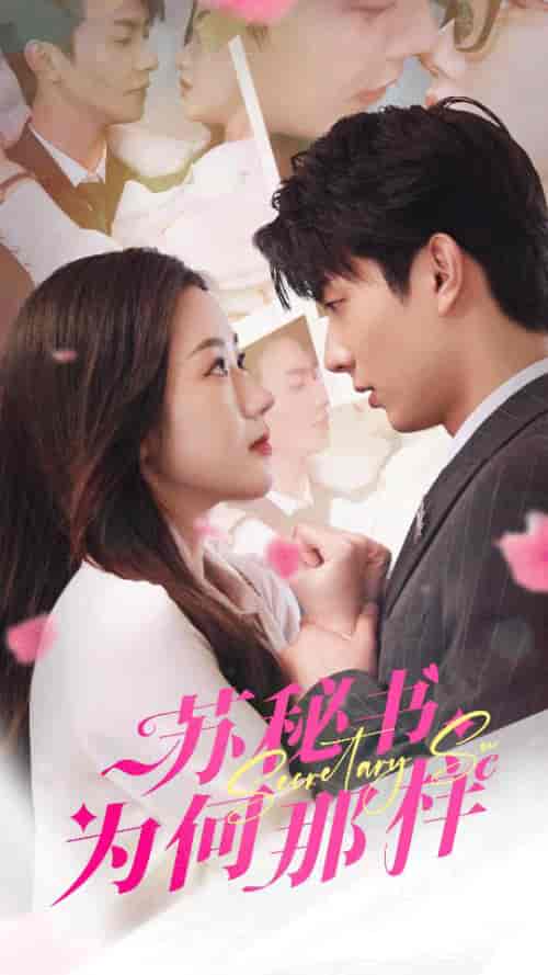 苏秘书为何那样＆报告苏秘书，傅总想上位（96集）-紫橙资源网