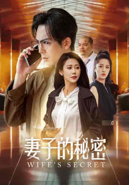 妻子的秘密(38集)杨鹏&李梦蕾-紫橙资源网