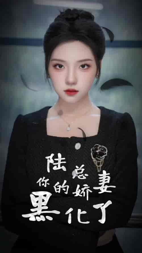 陆总,你的娇妻黑化了(67集)-紫橙资源网