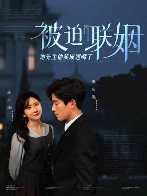 被迫联姻谢先生他笑成翘嘴了（100集全）肖茜文-紫橙资源网