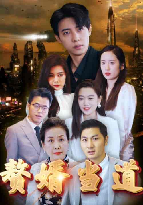 赘婿当道（78集全）霍风＆赵晶晶-紫橙资源网