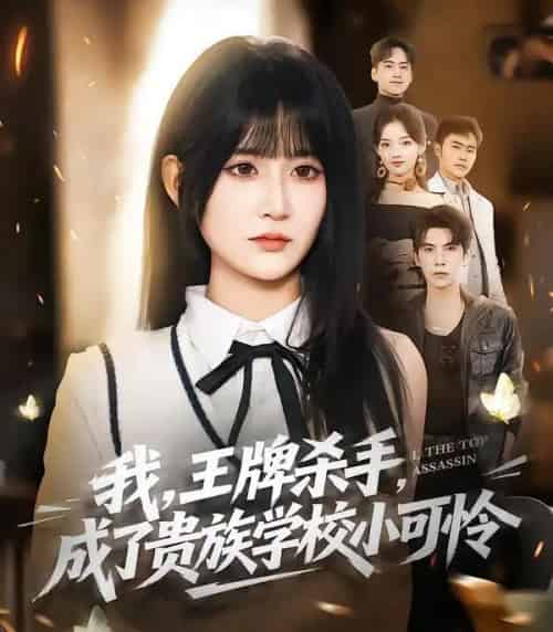 我,王牌杀手,成了贵族学校小可怜&我王牌杀手成了贵族学校小可怜(80集全)吴宇航&杨珊子-紫橙资源网