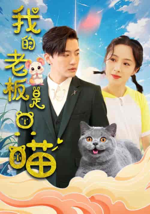 我的老板是只喵（86集全）-紫橙资源网