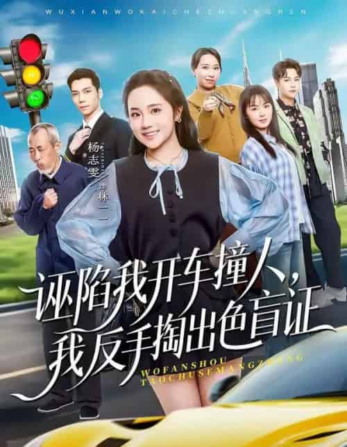 诬陷我开车撞人，我反手掏出色盲证（70集全）王俊杰＆杨志雯-紫橙资源网