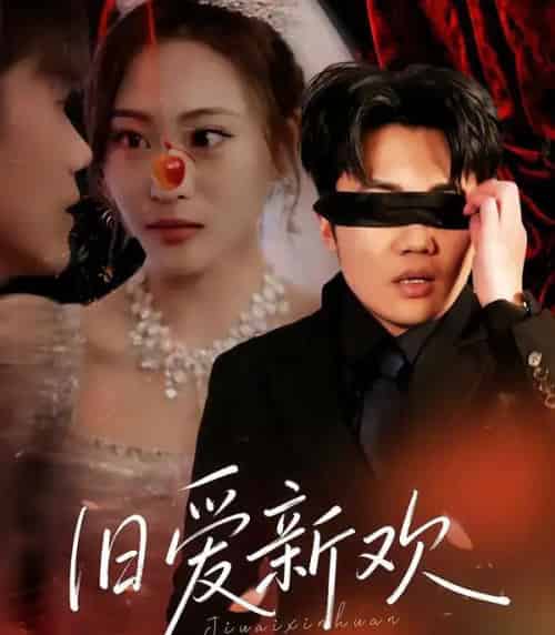 旧爱新欢(48集全)马治邦&喻文慧-紫橙资源网