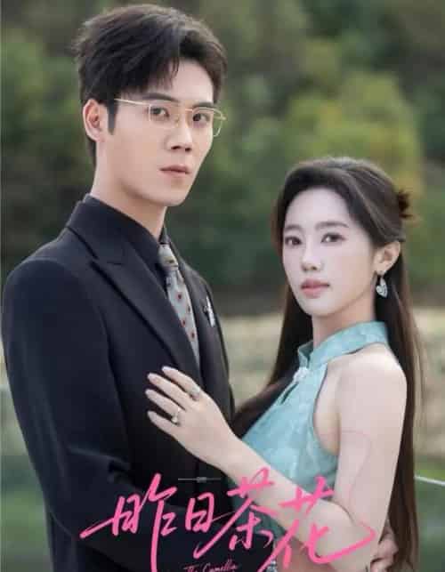 昨日茶花（56集全）许炎磊＆黄思宇-紫橙资源网