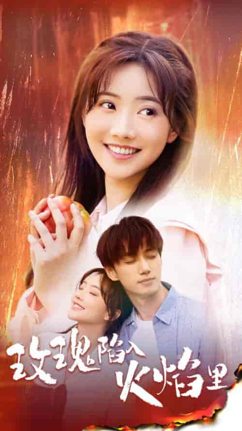 玫瑰陷入火焰里（60集）-紫橙资源网