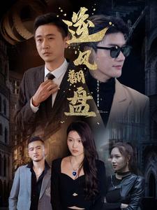 新：逆风翻盘（94集全）-紫橙资源网