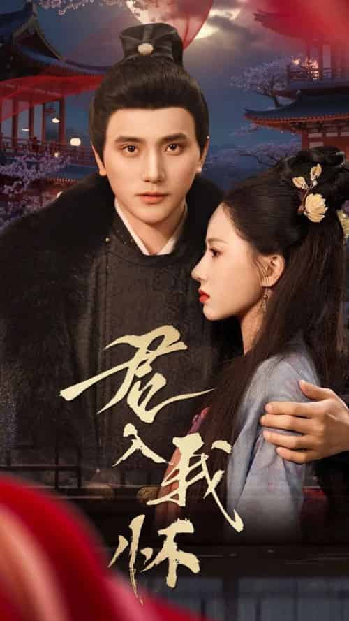 君入我怀（60集全）-紫橙资源网