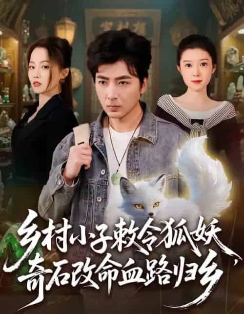 乡村小子敕令狐妖，奇石改命血路归乡（80集全）郑明洋＆杨雨欣-紫橙资源网