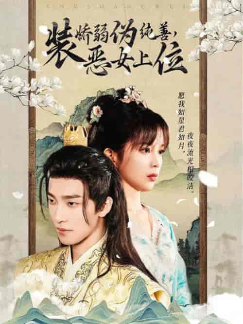 装娇弱伪纯善恶女上位(94集全)姚冠宇-紫橙资源网