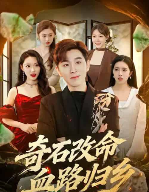 奇石改命血路归乡(81集全)胡程耀&薛薛-紫橙资源网