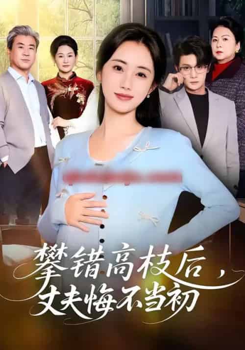 攀错高枝后，丈夫悔不当初（60集全）刘方为＆南书-紫橙资源网