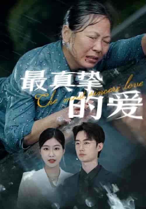 最真挚的爱（76集）-紫橙资源网