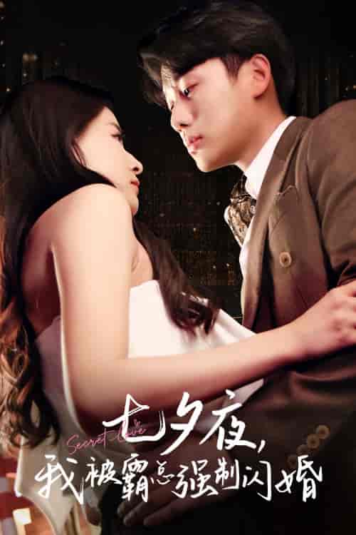 七夕夜我被霸总强制闪婚(77集)-紫橙资源网