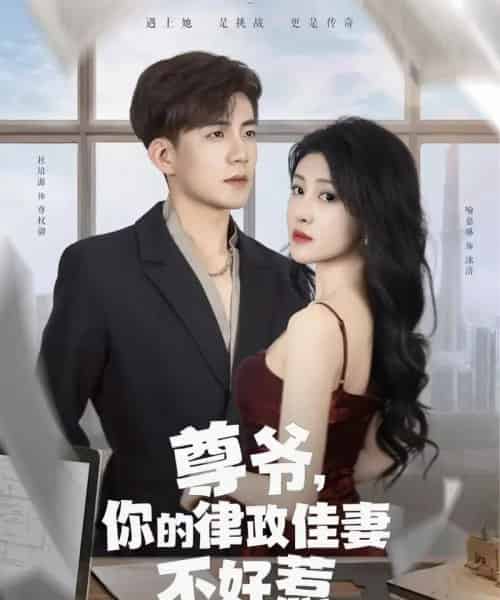 尊爷你的律政娇妻不好惹（81集）杜培源＆喻嘉琳-紫橙资源网