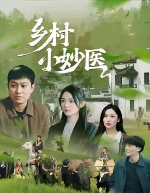 乡村小妙医（60集）-紫橙资源网