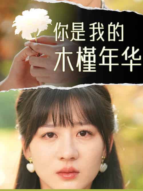 你是我的木槿年华（80集全）姜真真＆霍司辰-紫橙资源网