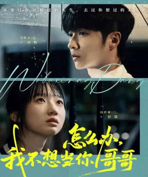 怎么办，我不想当你哥哥（77集全）李胜杰＆田欣雅（饼干辣辣）-紫橙资源网