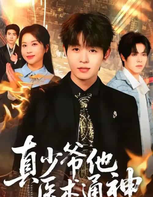 真少爷他医术通神（70集全）廖家昊＆陈琳琳-紫橙资源网