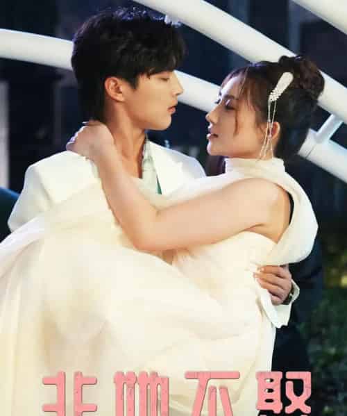 非她不娶(38集全)屈浩野&胡皓仪-紫橙资源网