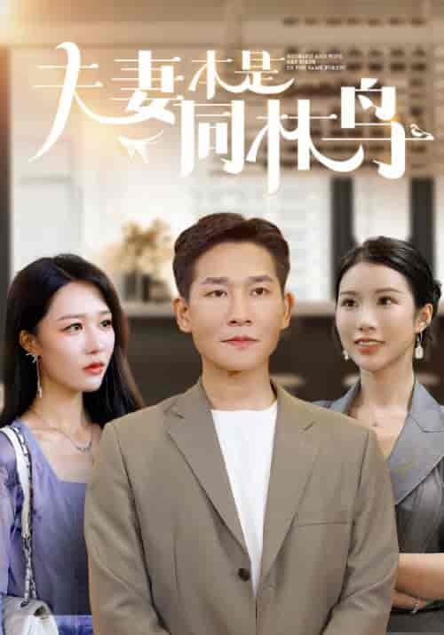 夫妻本是同林鸟（76集）李可馨 钟莹玲-紫橙资源网