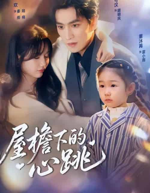 屋檐下的心跳（80集全）孟欢＆林可汉-紫橙资源网