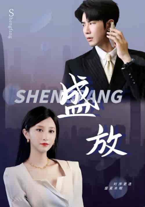 盛放（71集）-紫橙资源网