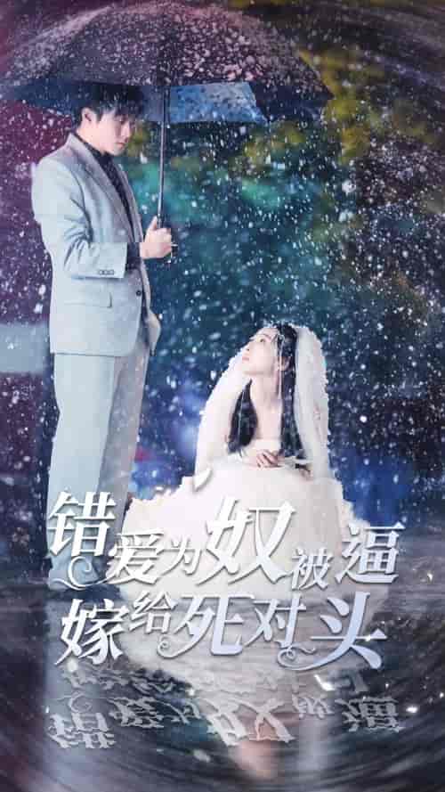错爱为奴被逼嫁给死对头（90集）-紫橙资源网
