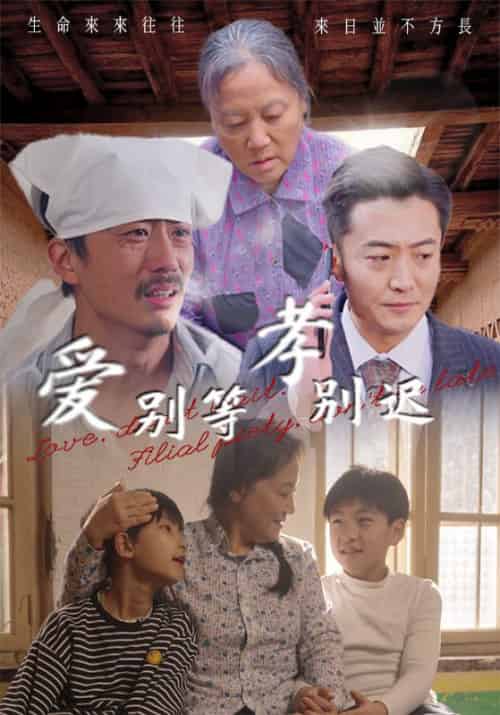 爱别等，孝别迟（56集全）张二宝＆周红梅-紫橙资源网