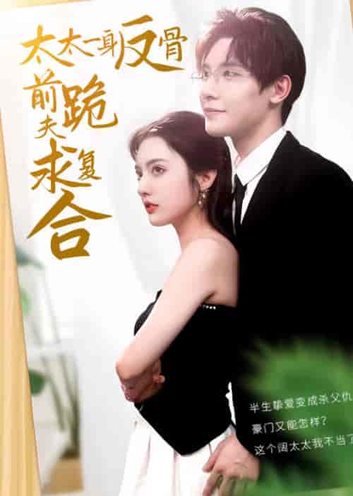 太太一身反骨，前夫跪求复合（81集）-紫橙资源网