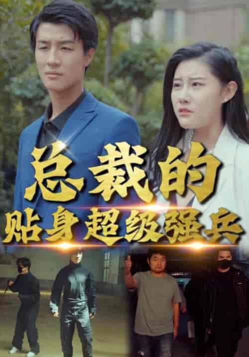 总裁的贴身超级强兵（95集全）叶凡＆沈玉冰-紫橙资源网