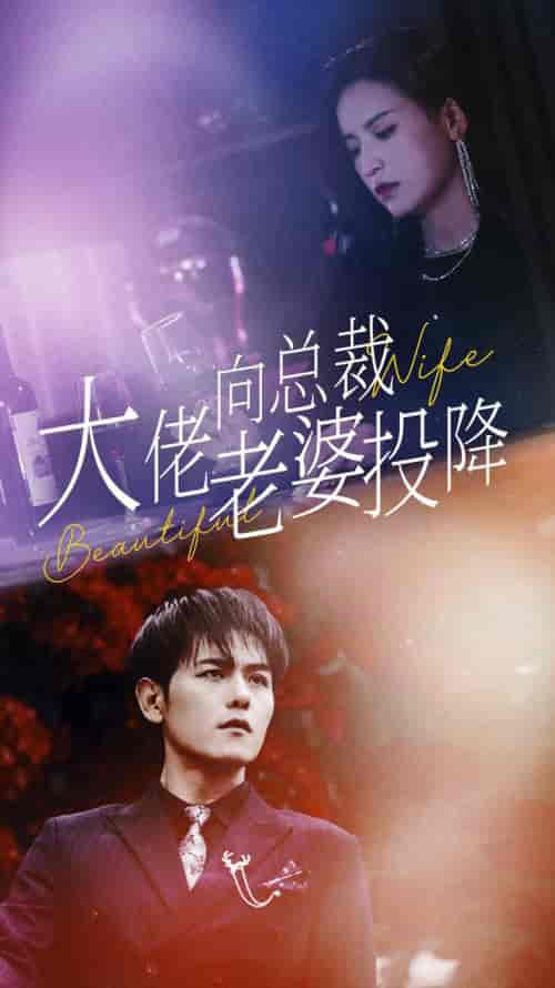 大佬向总裁老婆投降了（93集） - 紫橙短剧