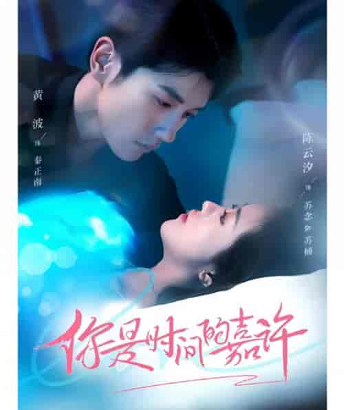 你是时间的嘉许（100集）-紫橙资源网