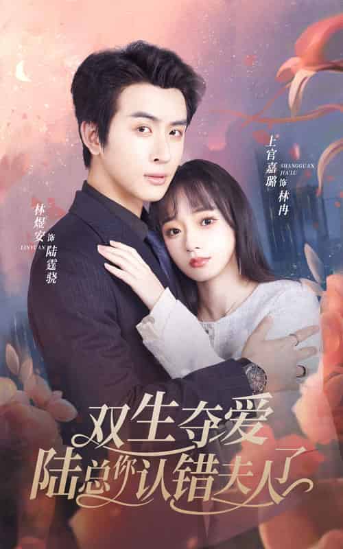 双生夺爱陆总你认错夫人了（94集）-紫橙资源网