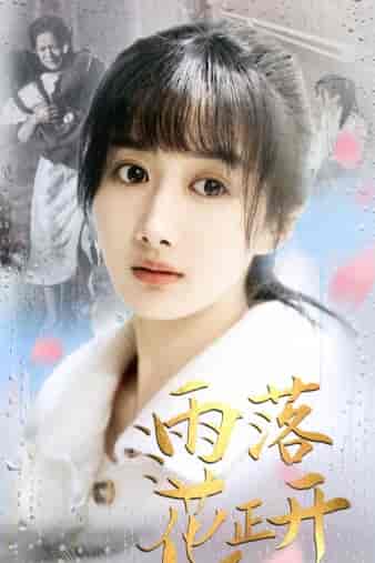 雨落花正开（62集）-紫橙资源网