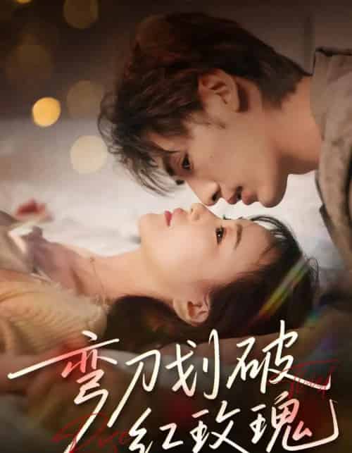 弯刀划破红玫瑰（63集）文渊＆赵菲＆陈宥骁-紫橙资源网