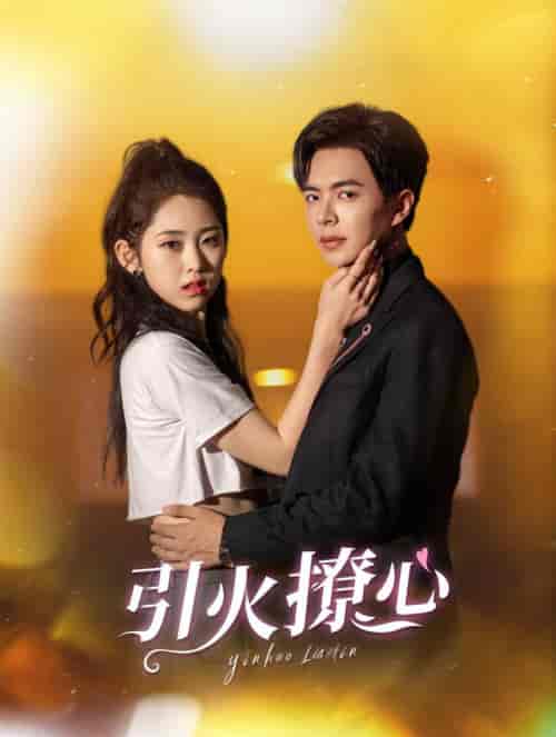 引火撩心(100集全)温宇&祁晓渔-紫橙资源网