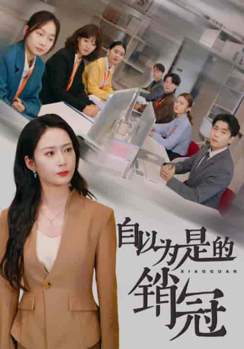 自以为是的销冠（54集全）谭超＆陈小夏-紫橙资源网