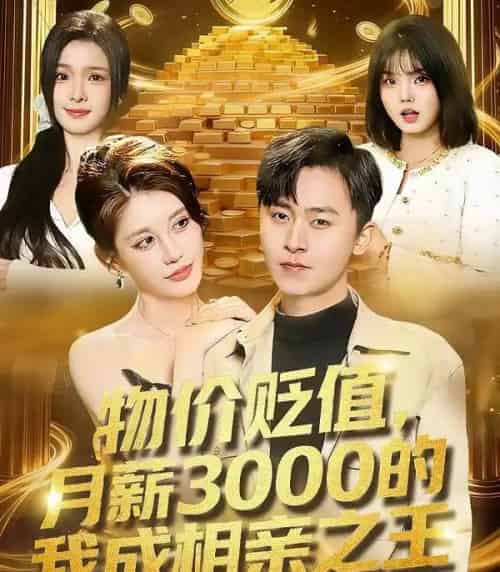 物价贬值，月薪3000的我成相亲之王（94集全）凌月＆刘猛-紫橙资源网