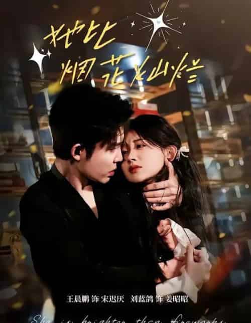 她比烟花灿烂（76集全）王晨鹏＆刘蓝鸽-紫橙资源网