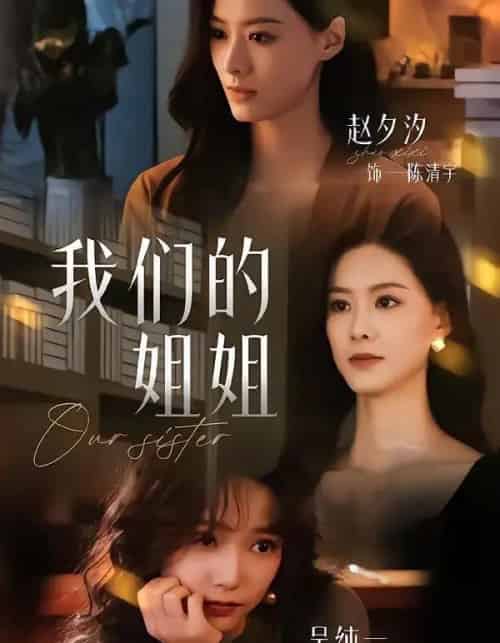 我们的姐姐(65集全)赵夕汐&吴纯一-紫橙资源网