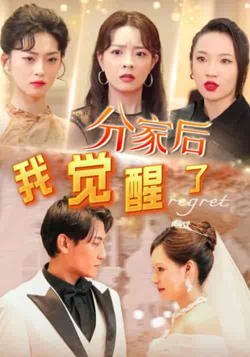 分家后,我觉醒了(63集全)萧凡&苏玉颜-紫橙资源网